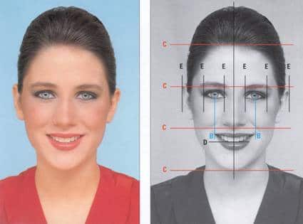 Facial Proportions  